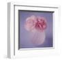 Carnations-Masao Ota-Framed Art Print