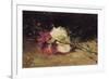 Carnations-Joaquín Sorolla y Bastida-Framed Premium Giclee Print