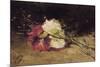 Carnations-Joaquín Sorolla y Bastida-Mounted Art Print