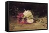 Carnations-Joaquín Sorolla y Bastida-Framed Stretched Canvas