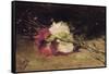 Carnations-Joaquín Sorolla y Bastida-Framed Stretched Canvas