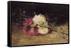 Carnations-Joaquín Sorolla y Bastida-Framed Stretched Canvas