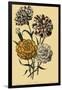 Carnations-null-Framed Giclee Print