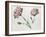 Carnations-Claude Aubriet-Framed Giclee Print