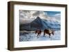 Carneddau Ponies on snow-covered slopes, Snowdonia, UK-Graham Eaton-Framed Photographic Print