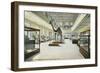 Carnegie Institute, Natural History-null-Framed Art Print