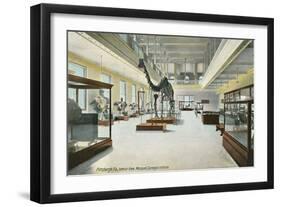 Carnegie Institute, Natural History-null-Framed Art Print