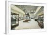 Carnegie Institute, Natural History-null-Framed Art Print