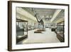 Carnegie Institute, Natural History-null-Framed Art Print