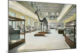 Carnegie Institute, Natural History-null-Mounted Art Print