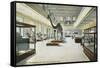 Carnegie Institute, Natural History-null-Framed Stretched Canvas