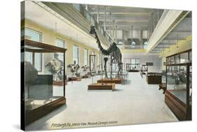 Carnegie Institute, Natural History-null-Stretched Canvas