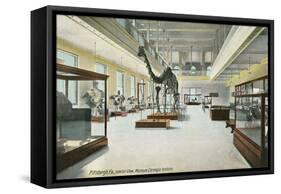 Carnegie Institute, Natural History-null-Framed Stretched Canvas