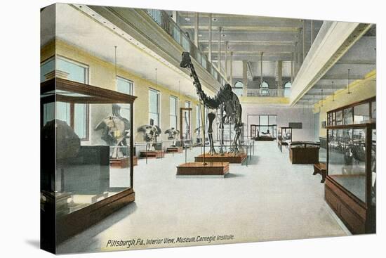 Carnegie Institute, Natural History-null-Stretched Canvas