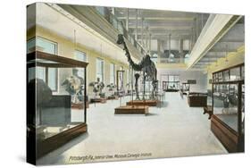 Carnegie Institute, Natural History-null-Stretched Canvas