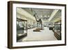 Carnegie Institute, Natural History-null-Framed Premium Giclee Print