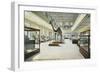 Carnegie Institute, Natural History-null-Framed Premium Giclee Print