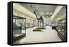 Carnegie Institute, Natural History-null-Framed Stretched Canvas