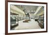 Carnegie Institute, Natural History-null-Framed Art Print