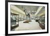 Carnegie Institute, Natural History-null-Framed Art Print