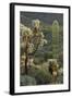 Carnegiea Gigantea, Saguaro Cacti, Hieroglyphic Trail, Lost Dutchman State Park, Arizona, Usa-Rainer Mirau-Framed Photographic Print