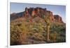 Carnegiea Gigantea, Saguaro Cacti, Hieroglyphic Trail, Lost Dutchman State Park, Arizona, Usa-Rainer Mirau-Framed Photographic Print