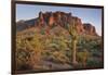 Carnegiea Gigantea, Saguaro Cacti, Hieroglyphic Trail, Lost Dutchman State Park, Arizona, Usa-Rainer Mirau-Framed Photographic Print