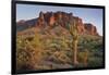 Carnegiea Gigantea, Saguaro Cacti, Hieroglyphic Trail, Lost Dutchman State Park, Arizona, Usa-Rainer Mirau-Framed Photographic Print