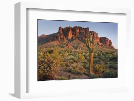 Carnegiea Gigantea, Saguaro Cacti, Hieroglyphic Trail, Lost Dutchman State Park, Arizona, Usa-Rainer Mirau-Framed Photographic Print