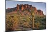 Carnegiea Gigantea, Saguaro Cacti, Hieroglyphic Trail, Lost Dutchman State Park, Arizona, Usa-Rainer Mirau-Mounted Photographic Print