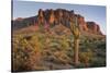 Carnegiea Gigantea, Saguaro Cacti, Hieroglyphic Trail, Lost Dutchman State Park, Arizona, Usa-Rainer Mirau-Stretched Canvas