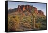 Carnegiea Gigantea, Saguaro Cacti, Hieroglyphic Trail, Lost Dutchman State Park, Arizona, Usa-Rainer Mirau-Framed Stretched Canvas