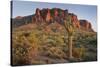 Carnegiea Gigantea, Saguaro Cacti, Hieroglyphic Trail, Lost Dutchman State Park, Arizona, Usa-Rainer Mirau-Stretched Canvas