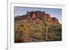 Carnegiea Gigantea, Saguaro Cacti, Hieroglyphic Trail, Lost Dutchman State Park, Arizona, Usa-Rainer Mirau-Framed Photographic Print