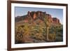 Carnegiea Gigantea, Saguaro Cacti, Hieroglyphic Trail, Lost Dutchman State Park, Arizona, Usa-Rainer Mirau-Framed Photographic Print