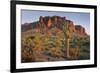 Carnegiea Gigantea, Saguaro Cacti, Hieroglyphic Trail, Lost Dutchman State Park, Arizona, Usa-Rainer Mirau-Framed Photographic Print