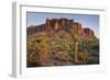Carnegiea Gigantea, Saguaro Cacti, Hieroglyphic Trail, Lost Dutchman State Park, Arizona, Usa-Rainer Mirau-Framed Photographic Print