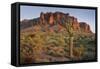 Carnegiea Gigantea, Saguaro Cacti, Hieroglyphic Trail, Lost Dutchman State Park, Arizona, Usa-Rainer Mirau-Framed Stretched Canvas