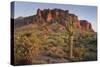 Carnegiea Gigantea, Saguaro Cacti, Hieroglyphic Trail, Lost Dutchman State Park, Arizona, Usa-Rainer Mirau-Stretched Canvas