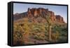 Carnegiea Gigantea, Saguaro Cacti, Hieroglyphic Trail, Lost Dutchman State Park, Arizona, Usa-Rainer Mirau-Framed Stretched Canvas