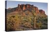 Carnegiea Gigantea, Saguaro Cacti, Hieroglyphic Trail, Lost Dutchman State Park, Arizona, Usa-Rainer Mirau-Stretched Canvas