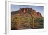 Carnegiea Gigantea, Saguaro Cacti, Hieroglyphic Trail, Lost Dutchman State Park, Arizona, Usa-Rainer Mirau-Framed Photographic Print