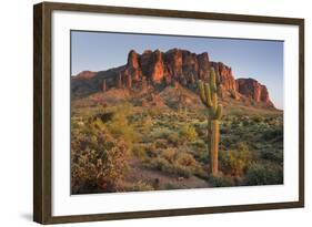 Carnegiea Gigantea, Saguaro Cacti, Hieroglyphic Trail, Lost Dutchman State Park, Arizona, Usa-Rainer Mirau-Framed Photographic Print