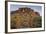 Carnegiea Gigantea, Saguaro Cacti, Hieroglyphic Trail, Lost Dutchman State Park, Arizona, Usa-Rainer Mirau-Framed Photographic Print