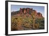 Carnegiea Gigantea, Saguaro Cacti, Hieroglyphic Trail, Lost Dutchman State Park, Arizona, Usa-Rainer Mirau-Framed Photographic Print