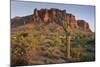 Carnegiea Gigantea, Saguaro Cacti, Hieroglyphic Trail, Lost Dutchman State Park, Arizona, Usa-Rainer Mirau-Mounted Photographic Print