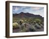 Carnegiea Gigantea, Saguaro Cacti, Hieroglyphic Trail, Lost Dutchman State Park, Arizona, Usa-Rainer Mirau-Framed Photographic Print