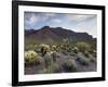 Carnegiea Gigantea, Saguaro Cacti, Hieroglyphic Trail, Lost Dutchman State Park, Arizona, Usa-Rainer Mirau-Framed Photographic Print