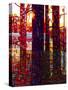 Carnelian Morning-Mandy Budan-Stretched Canvas