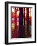 Carnelian Morning-Mandy Budan-Framed Giclee Print